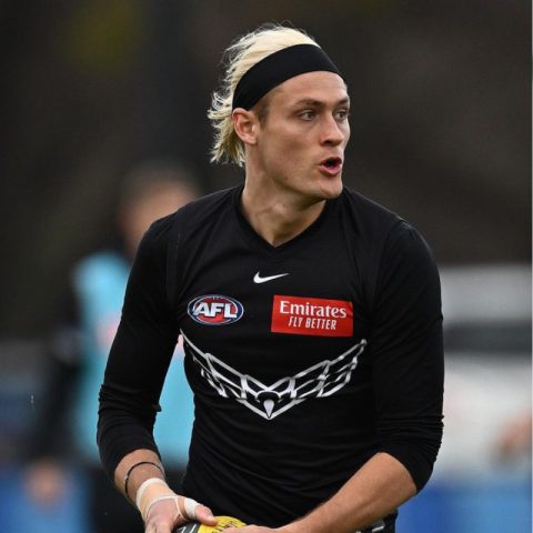 Darcy Moore Age, Net Worth, Height, Facts