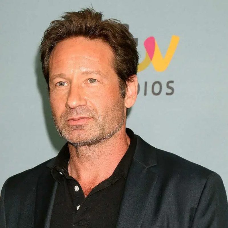 David Duchovny Age, Net Worth, Height, Facts
